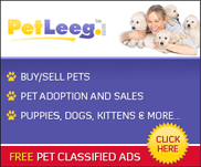 Pet Leeg
